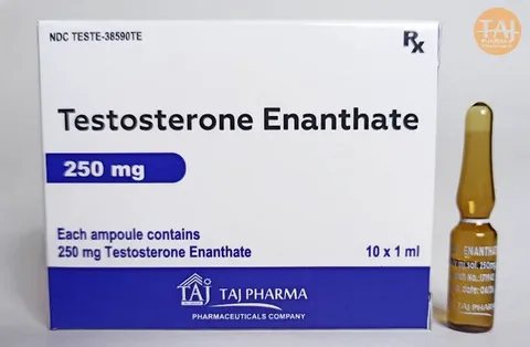 TESTOSTERONE ENANTHATE - 10ml x 250 mg/ml/vial