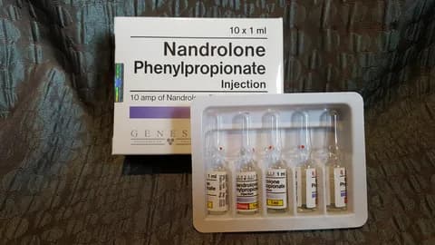 Nandrolone Phenylpropionate - 10ml x 100 mg/ml/vial